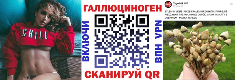 Псилоцибиновые грибы Cubensis  где можно купить   Ефремов 