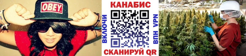 Канабис план Ефремов